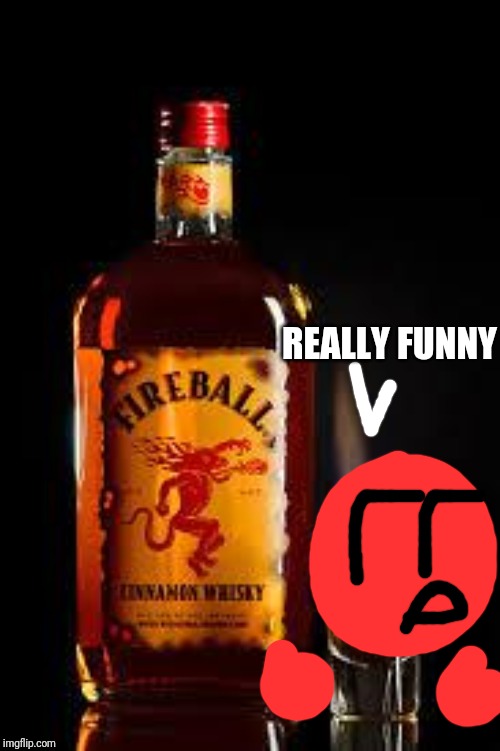 Get it? Because they are both called fireball? | REALLY FUNNY | image tagged in fireball,drink,ocs,memes | made w/ Imgflip meme maker