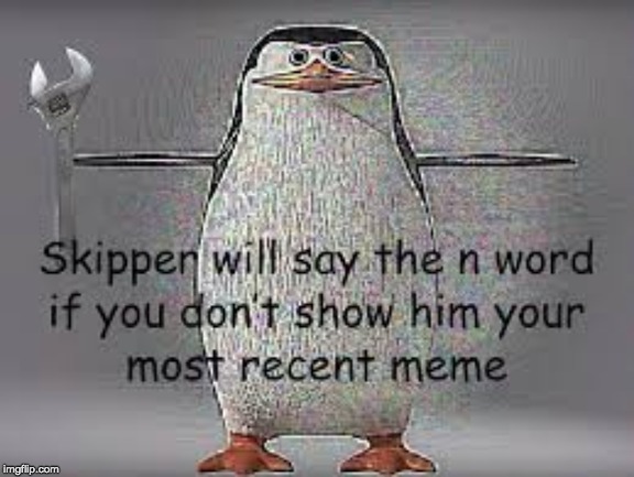 Don't make him do it... | image tagged in skipper,n-word | made w/ Imgflip meme maker