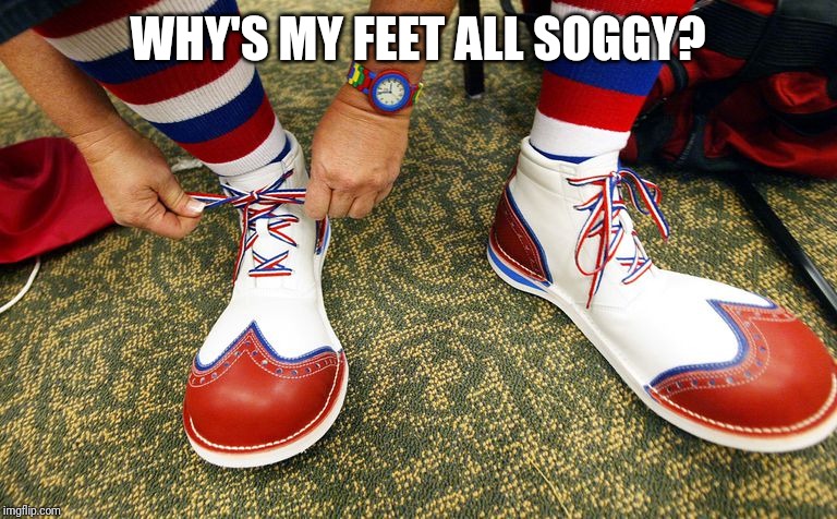 Clown shoes | WHY'S MY FEET ALL SOGGY? | image tagged in clown shoes | made w/ Imgflip meme maker