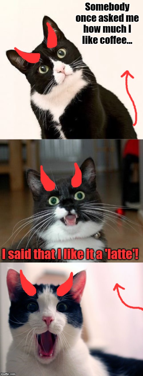 Bad Pun Ememeon | Somebody once asked me how much I like coffee... I said that I like it a 'latte'! | image tagged in bad pun,coffee,latte,sorry not sorry | made w/ Imgflip meme maker