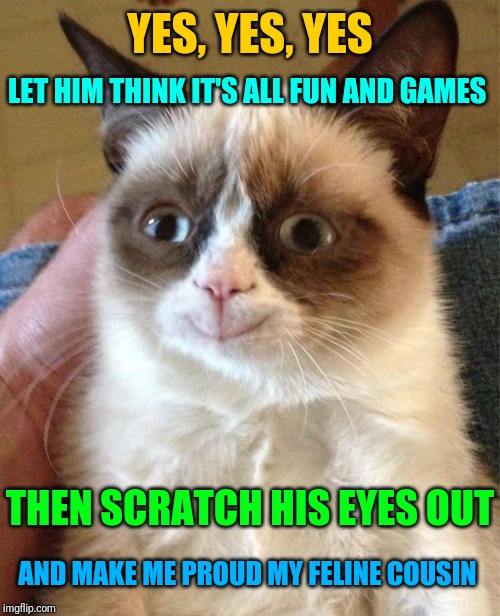 Grumpy Cat Happy Meme | YES, YES, YES THEN SCRATCH HIS EYES OUT LET HIM THINK IT'S ALL FUN AND GAMES AND MAKE ME PROUD MY FELINE COUSIN | image tagged in memes,grumpy cat happy,grumpy cat | made w/ Imgflip meme maker