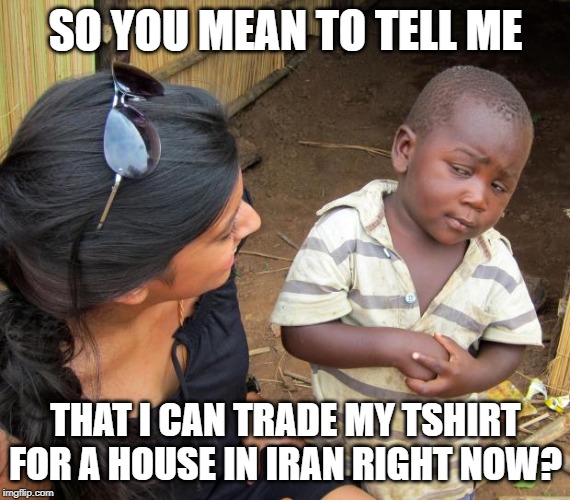 So you mean to tell me | SO YOU MEAN TO TELL ME; THAT I CAN TRADE MY TSHIRT FOR A HOUSE IN IRAN RIGHT NOW? | image tagged in so you mean to tell me | made w/ Imgflip meme maker