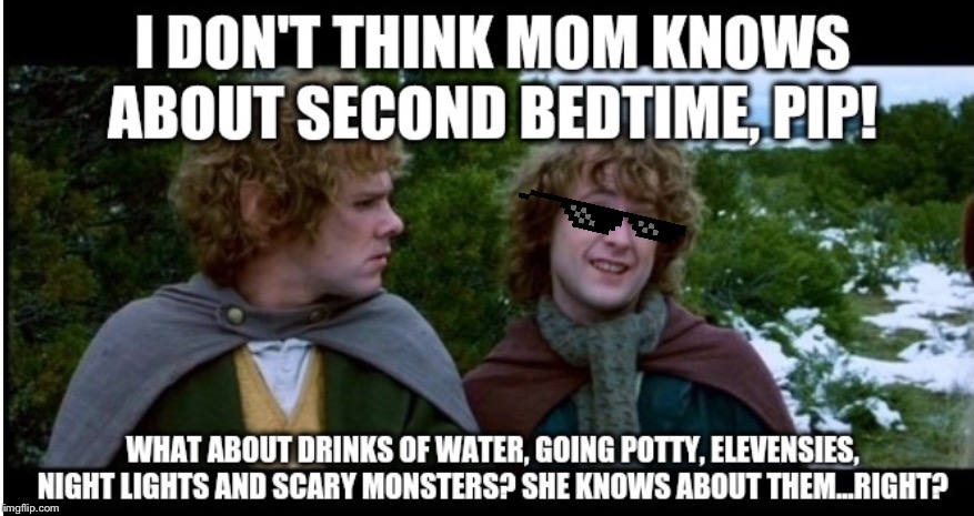 Take that MOM | image tagged in lord of the rings,i don't know,weird stuff,too true | made w/ Imgflip meme maker