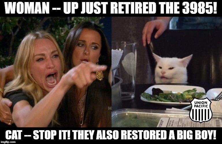 Railfans... | WOMAN -- UP JUST RETIRED THE 3985! CAT -- STOP IT! THEY ALSO RESTORED A BIG BOY! | image tagged in woman yelling at cat,railfans,up 3985 | made w/ Imgflip meme maker
