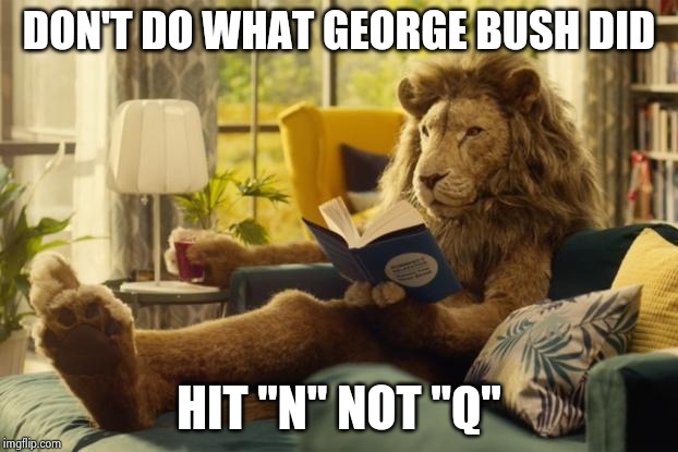 Lion relaxing | DON'T DO WHAT GEORGE BUSH DID HIT "N" NOT "Q" | image tagged in lion relaxing | made w/ Imgflip meme maker