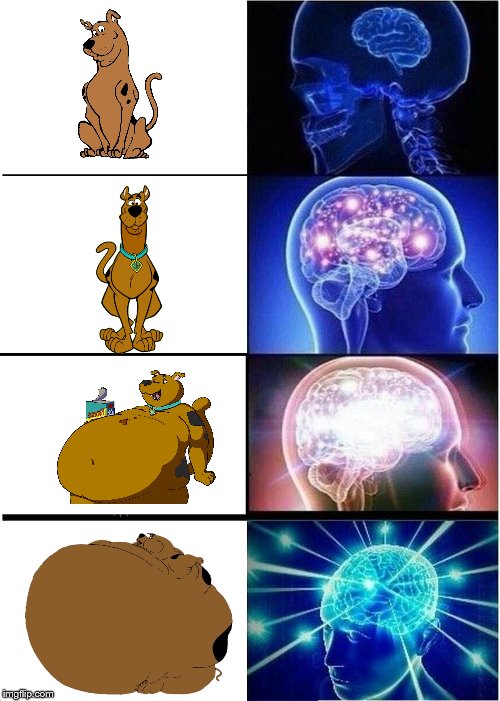 Expanding Brain | image tagged in memes,expanding brain,fat scooby | made w/ Imgflip meme maker