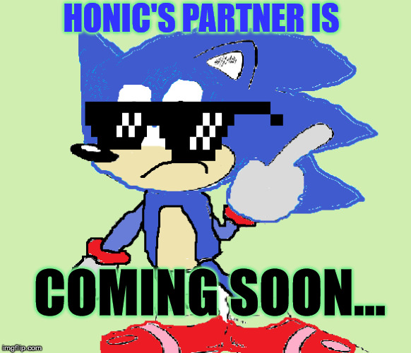 Honic | HONIC'S PARTNER IS; COMING SOON... | image tagged in honic | made w/ Imgflip meme maker