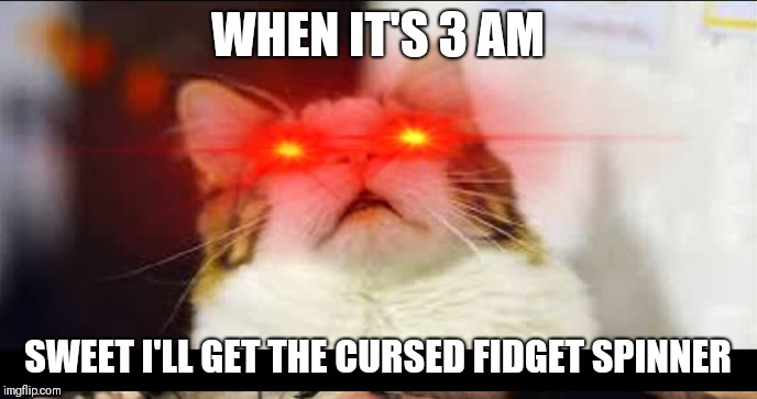 WHEN IT'S 3 AM; SWEET I'LL GET THE CURSED FIDGET SPINNER | image tagged in funny memes,cats | made w/ Imgflip meme maker