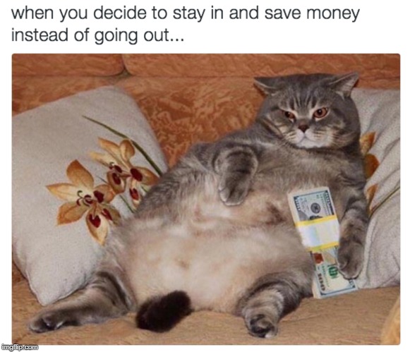 staying in, instead of going out | image tagged in fat cat,staying in,couch potato,cat fun | made w/ Imgflip meme maker