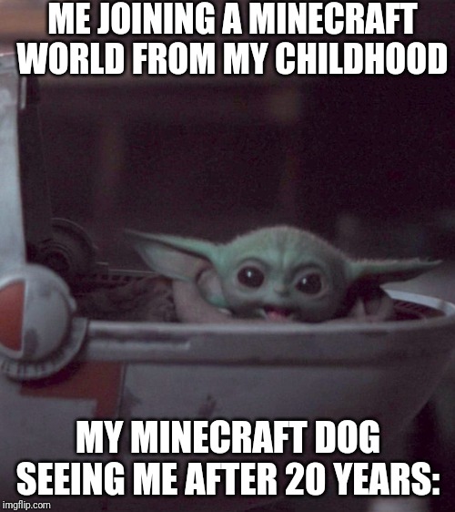 Woman screaming at Baby Yoda | ME JOINING A MINECRAFT WORLD FROM MY CHILDHOOD; MY MINECRAFT DOG SEEING ME AFTER 20 YEARS: | image tagged in woman screaming at baby yoda | made w/ Imgflip meme maker