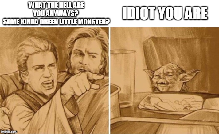 THANKS TO That_baseball_girl 
FOR THIS TEMPLATE | IDIOT YOU ARE; WHAT THE HELL ARE YOU ANYWAYS? 
SOME KINDA GREEN LITTLE MONSTER? | image tagged in woman yelling at cat,star wars,star wars yoda,anakin skywalker | made w/ Imgflip meme maker
