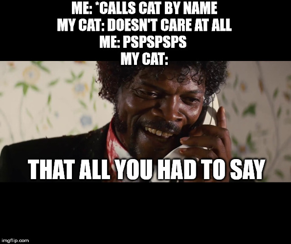 ME: *CALLS CAT BY NAME
MY CAT: DOESN'T CARE AT ALL
ME: PSPSPSPS 
MY CAT:; THAT ALL YOU HAD TO SAY | made w/ Imgflip meme maker