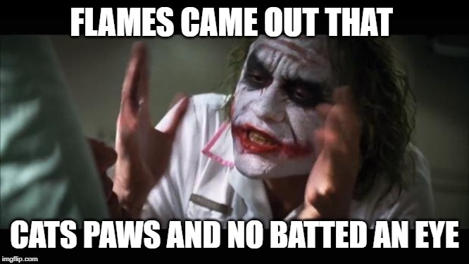 And everybody loses their minds Meme | FLAMES CAME OUT THAT CATS PAWS AND NO BATTED AN EYE | image tagged in memes,and everybody loses their minds | made w/ Imgflip meme maker