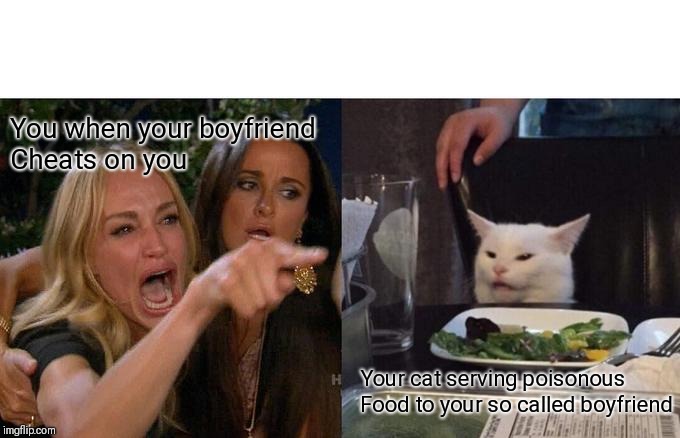 Woman Yelling At Cat Meme | You when your boyfriend 
Cheats on you; Your cat serving poisonous 
Food to your so called boyfriend | image tagged in memes,woman yelling at cat | made w/ Imgflip meme maker
