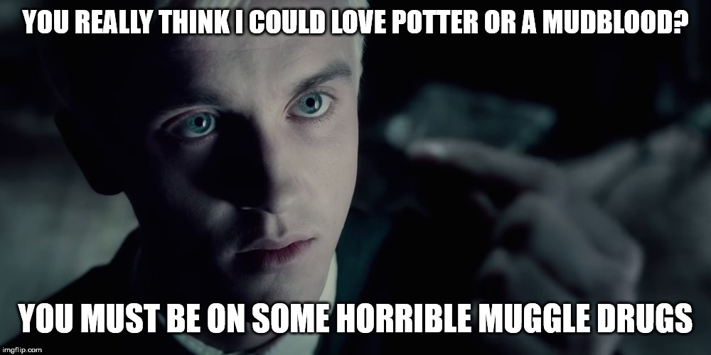 Draco Malfoy | YOU REALLY THINK I COULD LOVE POTTER OR A MUDBLOOD? YOU MUST BE ON SOME HORRIBLE MUGGLE DRUGS | image tagged in draco malfoy | made w/ Imgflip meme maker