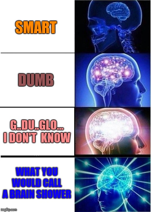 Expanding Brain | SMART; DUMB; G..DU..GLO... I DON'T  KNOW; WHAT YOU WOULD CALL A BRAIN SHOWER | image tagged in memes,expanding brain,cycle of smartness | made w/ Imgflip meme maker