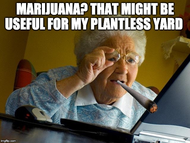 Grandma Finds The Internet | MARIJUANA? THAT MIGHT BE USEFUL FOR MY PLANTLESS YARD | image tagged in memes,grandma finds the internet | made w/ Imgflip meme maker