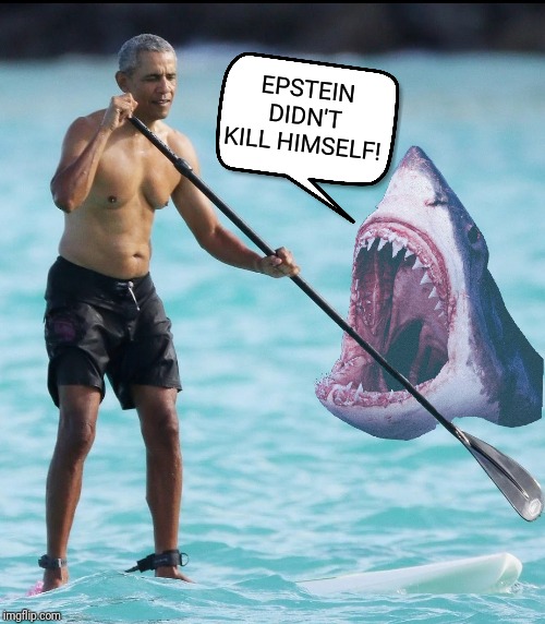 Even Jaws knows the truth! | EPSTEIN DIDN'T KILL HIMSELF! | image tagged in barack obama,jeffrey epstein,suicide,murder,jaws,paddling | made w/ Imgflip meme maker