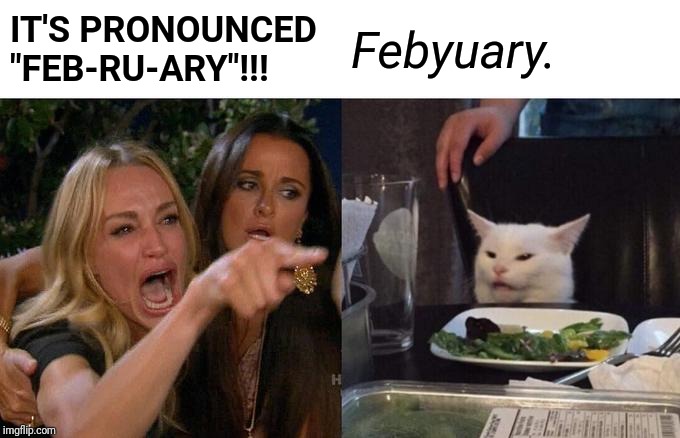 Woman Yelling At Cat | IT'S PRONOUNCED "FEB-RU-ARY"!!! Febyuary. | image tagged in memes,woman yelling at cat | made w/ Imgflip meme maker