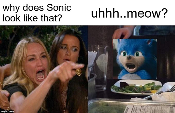 Woman Yelling At Cat Meme | why does Sonic look like that? uhhh..meow? | image tagged in memes,woman yelling at cat | made w/ Imgflip meme maker