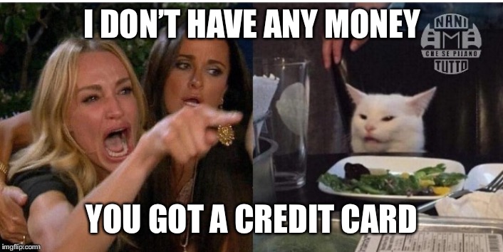 white cat table | I DON’T HAVE ANY MONEY; YOU GOT A CREDIT CARD | image tagged in white cat table | made w/ Imgflip meme maker