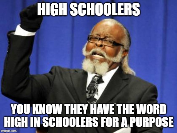 Too Damn High | HIGH SCHOOLERS; YOU KNOW THEY HAVE THE WORD HIGH IN SCHOOLERS FOR A PURPOSE | image tagged in memes,too damn high | made w/ Imgflip meme maker