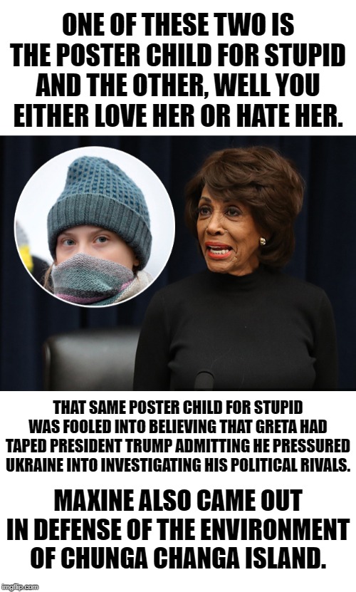 Fooled by Russian Pranksters for a second time. When will she learn. | ONE OF THESE TWO IS THE POSTER CHILD FOR STUPID AND THE OTHER, WELL YOU EITHER LOVE HER OR HATE HER. THAT SAME POSTER CHILD FOR STUPID WAS FOOLED INTO BELIEVING THAT GRETA HAD TAPED PRESIDENT TRUMP ADMITTING HE PRESSURED UKRAINE INTO INVESTIGATING HIS POLITICAL RIVALS. MAXINE ALSO CAME OUT IN DEFENSE OF THE ENVIRONMENT OF CHUNGA CHANGA ISLAND. | image tagged in blank white template,maxine waters,greta thunberg,special kind of stupid,only a democrat could love her | made w/ Imgflip meme maker