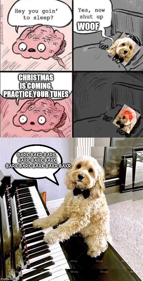 Twelve daYS of Christmas jingle bells | WOOF; CHRISTMAS IS COMING, PRACTICE YOUR TUNES; BARK BAKR BARK,  
BARK BARK BARK, 
BARK BARK BARK BAKR BAKR | image tagged in waking up brain,christmas,xmas,the grinch | made w/ Imgflip meme maker