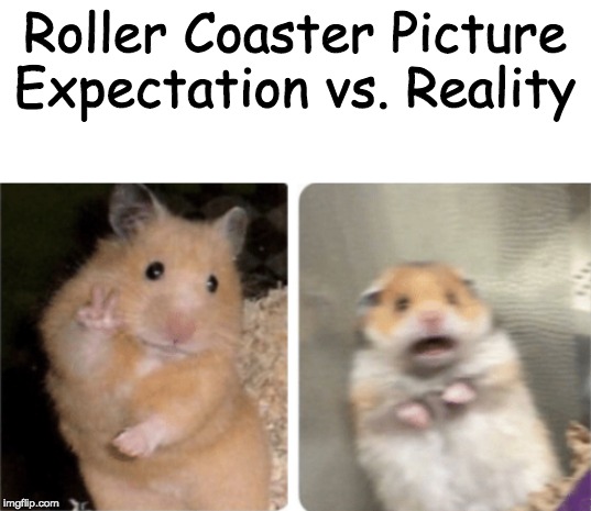 Roller Coaster Picture Expectation vs. Reality | image tagged in blank white template | made w/ Imgflip meme maker