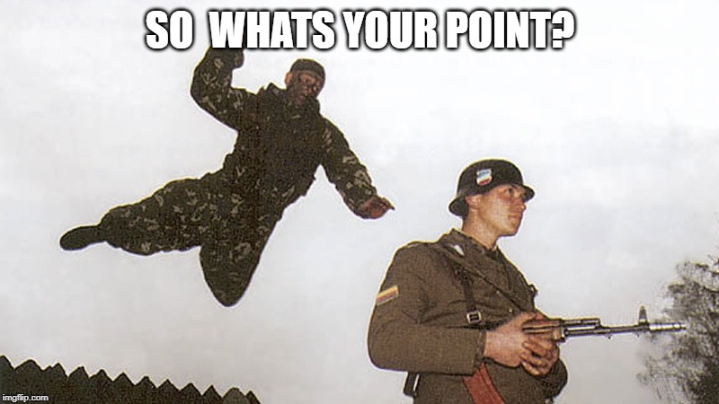 Soldier jump spetznaz | SO  WHATS YOUR POINT? | image tagged in soldier jump spetznaz | made w/ Imgflip meme maker