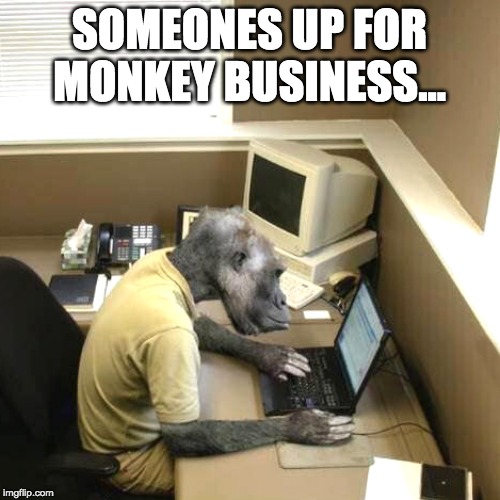 Monkey Business Meme | SOMEONES UP FOR MONKEY BUSINESS... | image tagged in memes,monkey business | made w/ Imgflip meme maker