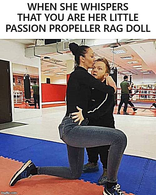 WHEN SHE WHISPERS THAT YOU ARE HER LITTLE PASSION PROPELLER RAG DOLL | image tagged in passionpropellerragdoll | made w/ Imgflip meme maker