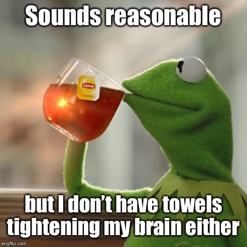 But That's None Of My Business Meme | Sounds reasonable but I don’t have towels tightening my brain either | image tagged in memes,but thats none of my business,kermit the frog | made w/ Imgflip meme maker