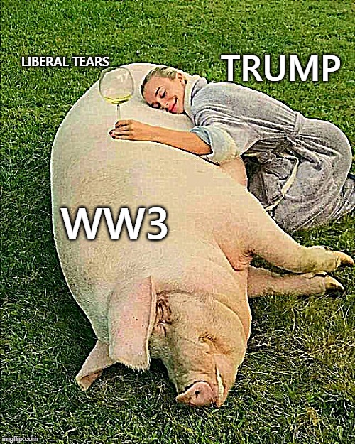 TRUMP; LIBERAL TEARS; WW3 | image tagged in liberaltears | made w/ Imgflip meme maker