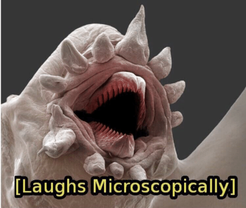 High Quality laughs microscopically Blank Meme Template