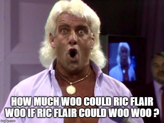 Ric flair friday | HOW MUCH WOO COULD RIC FLAIR WOO IF RIC FLAIR COULD WOO WOO ? | image tagged in ric flair friday | made w/ Imgflip meme maker