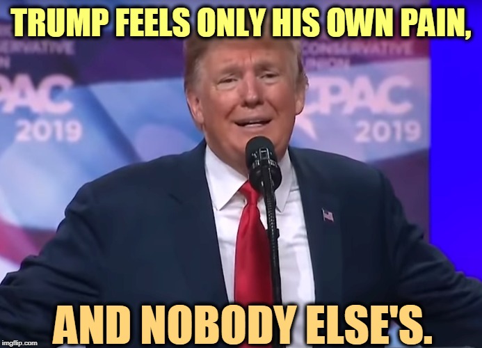 Trump doesn't think of you or your troubles. You're just a sucker who votes. | TRUMP FEELS ONLY HIS OWN PAIN, AND NOBODY ELSE'S. | image tagged in trump feeling pain his own,trump,pain,selfish,narcissist | made w/ Imgflip meme maker