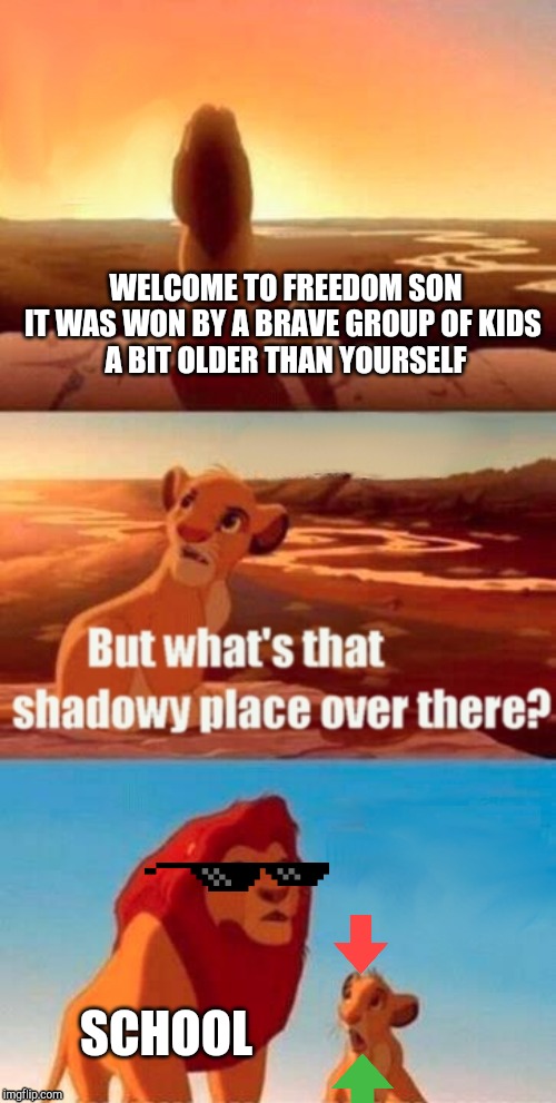 Simba Shadowy Place Meme | WELCOME TO FREEDOM SON
IT WAS WON BY A BRAVE GROUP OF KIDS 
A BIT OLDER THAN YOURSELF; SCHOOL | image tagged in memes,simba shadowy place | made w/ Imgflip meme maker