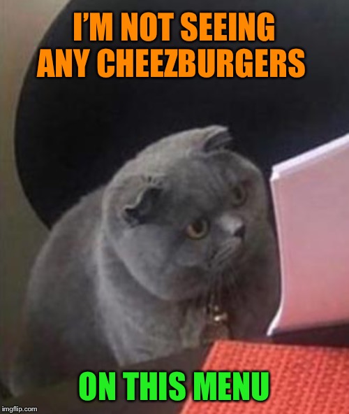 Okay, we’re outta here. | I’M NOT SEEING ANY CHEEZBURGERS; ON THIS MENU | image tagged in i can has cheezburger cat,restaurant,memes,funny | made w/ Imgflip meme maker