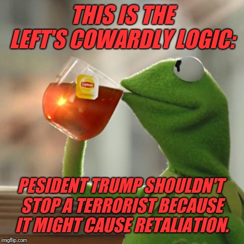 But That's None Of My Business | THIS IS THE LEFT'S COWARDLY LOGIC:; PESIDENT TRUMP SHOULDN'T 
STOP A TERRORIST BECAUSE
 IT MIGHT CAUSE RETALIATION. | image tagged in memes,but thats none of my business,kermit the frog | made w/ Imgflip meme maker