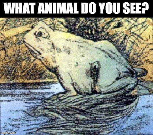 What animal do you see in the image? | WHAT ANIMAL DO YOU SEE? | image tagged in illusions,illusion,what do we want | made w/ Imgflip meme maker