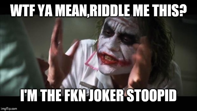 And everybody loses their minds | WTF YA MEAN,RIDDLE ME THIS? I'M THE FKN JOKER STOOPID | image tagged in memes,and everybody loses their minds | made w/ Imgflip meme maker
