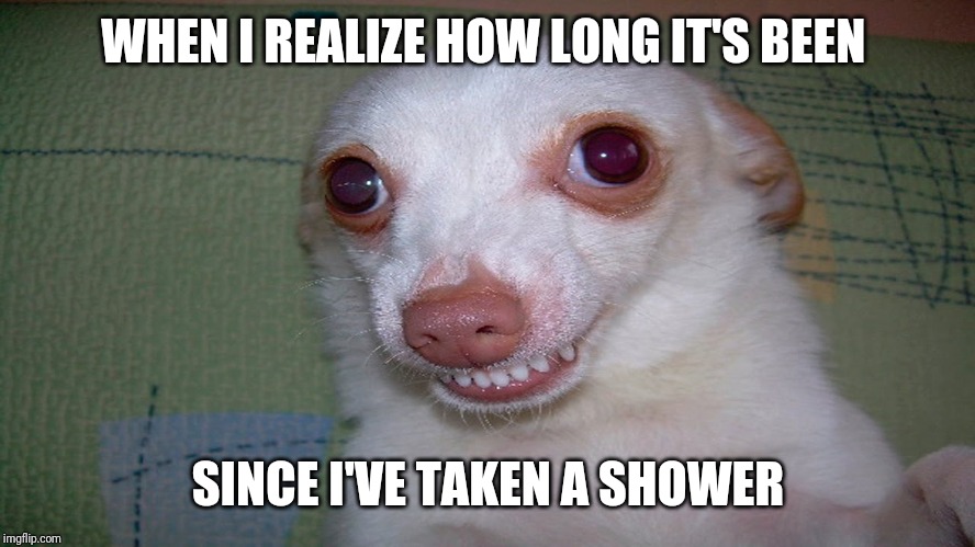 embarrassed grin | WHEN I REALIZE HOW LONG IT'S BEEN; SINCE I'VE TAKEN A SHOWER | image tagged in embarrassed grin | made w/ Imgflip meme maker