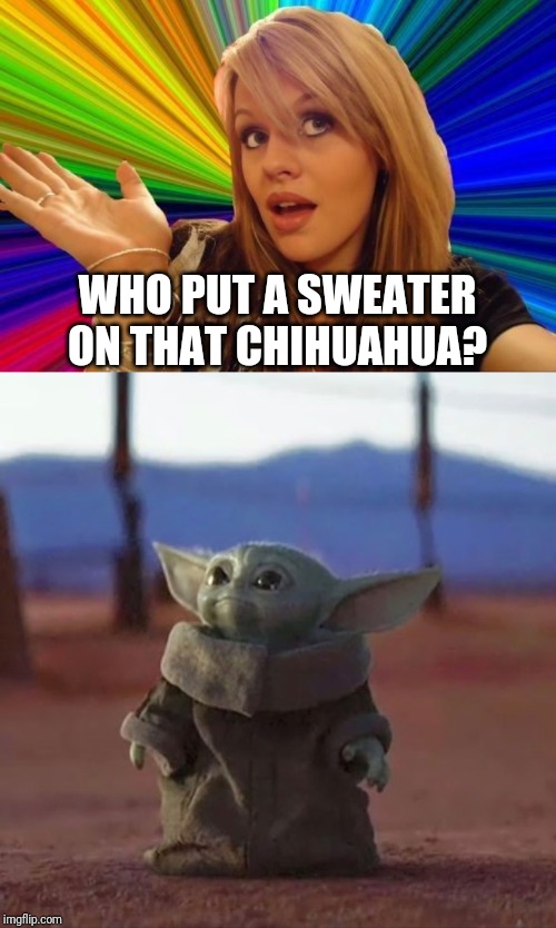WHO PUT A SWEATER ON THAT CHIHUAHUA? | image tagged in memes,dumb blonde,baby yoda | made w/ Imgflip meme maker