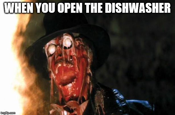 Raiders Face Melt | WHEN YOU OPEN THE DISHWASHER | image tagged in raiders face melt | made w/ Imgflip meme maker