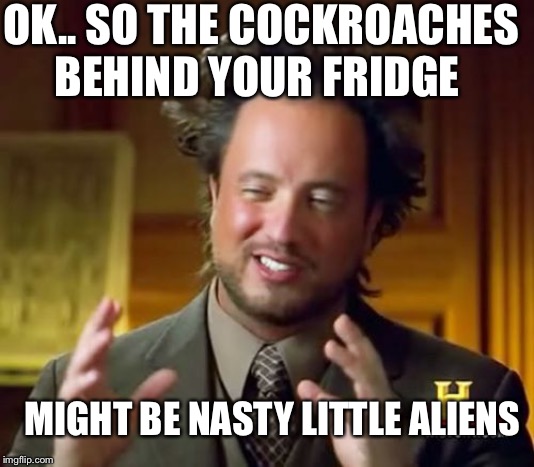Ancient Aliens | OK.. SO THE COCKROACHES BEHIND YOUR FRIDGE; MIGHT BE NASTY LITTLE ALIENS | image tagged in memes,ancient aliens | made w/ Imgflip meme maker