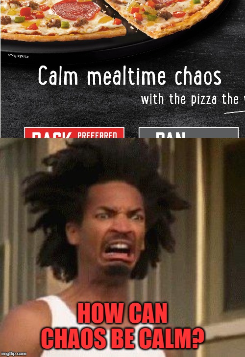 Words not chosen wisely | HOW CAN CHAOS BE CALM? | image tagged in disgusted face,memes,pizza,red baron,chaos | made w/ Imgflip meme maker
