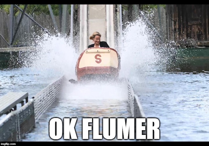 Ok Flumer | OK FLUMER | image tagged in ok boomer,ok flumer,boomer,flumer,log flume,ok | made w/ Imgflip meme maker
