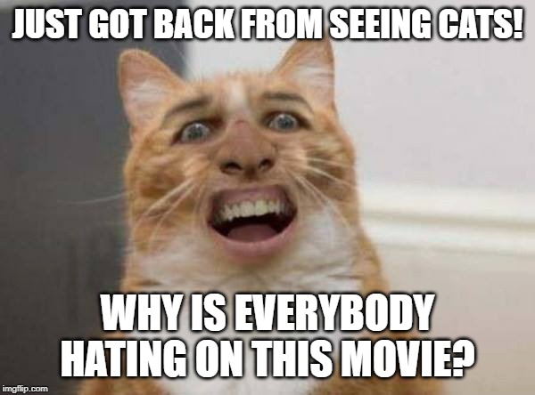 cats was awsome. | JUST GOT BACK FROM SEEING CATS! WHY IS EVERYBODY HATING ON THIS MOVIE? | image tagged in cats,funny,weird,gross | made w/ Imgflip meme maker