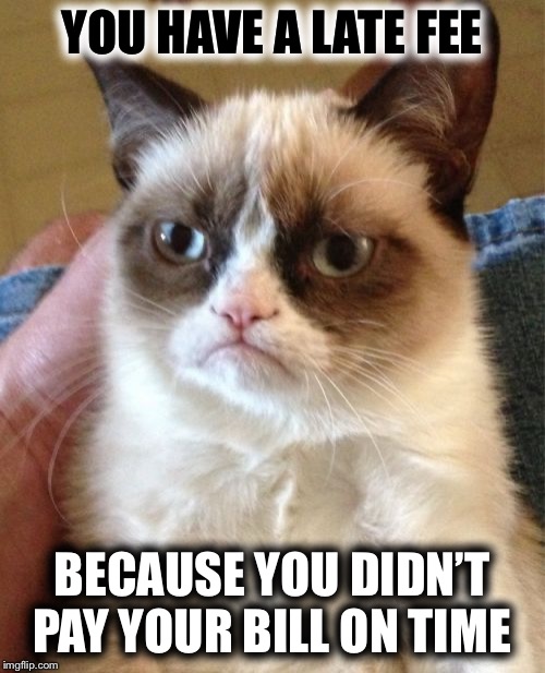 Grumpy Cat Meme | YOU HAVE A LATE FEE; BECAUSE YOU DIDN’T PAY YOUR BILL ON TIME | image tagged in memes,grumpy cat | made w/ Imgflip meme maker